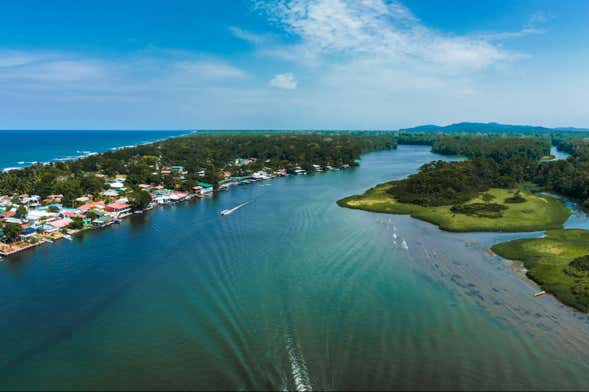 Tour por el Parque Nacional Tortuguero para cruceros