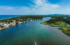 Tour por el Parque Nacional Tortuguero para cruceros