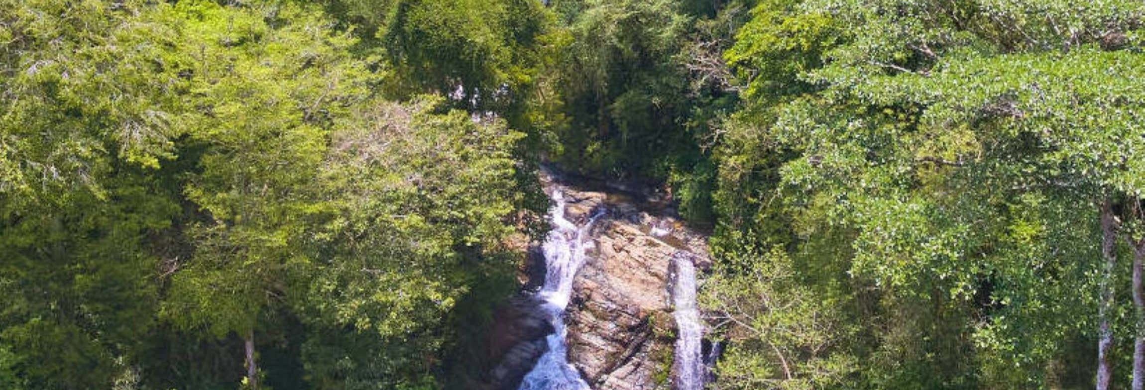 Excursiones de un día en Manuel Antonio
