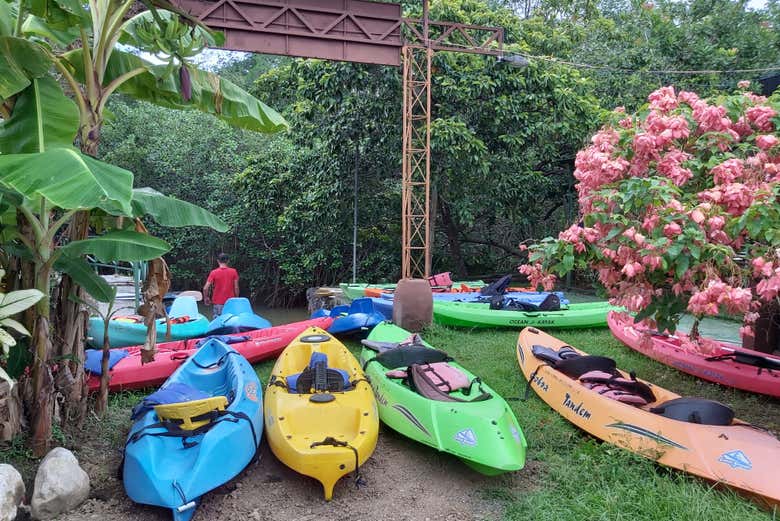 Kayak à Manuel Antonio