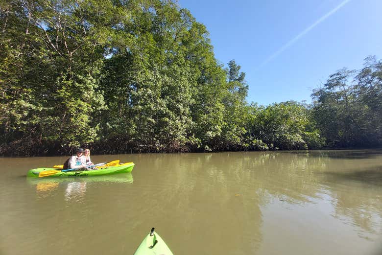 Explorez les mangroves de Manuel Antonio