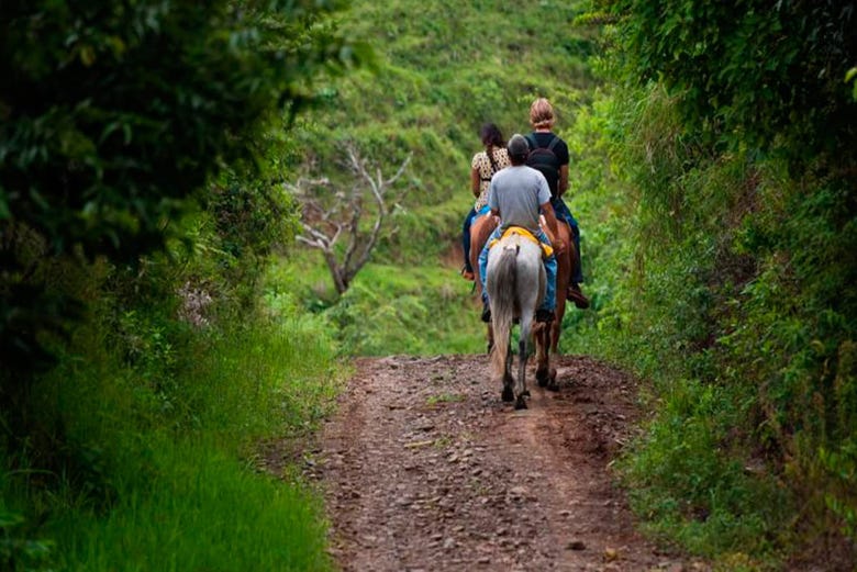 Da un paseo a caballo por Tocori