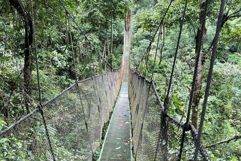 Trilha com pontes suspensas