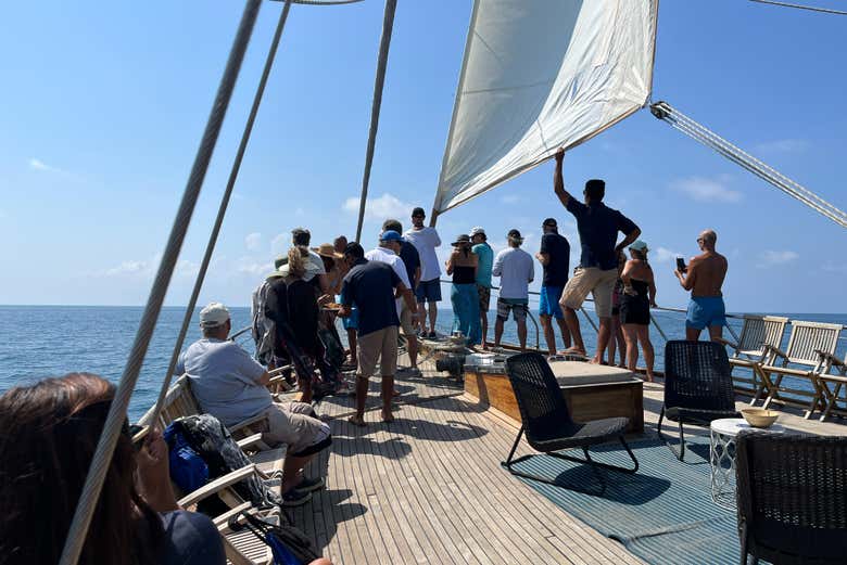 Si tenemos suerte, veremos delfines