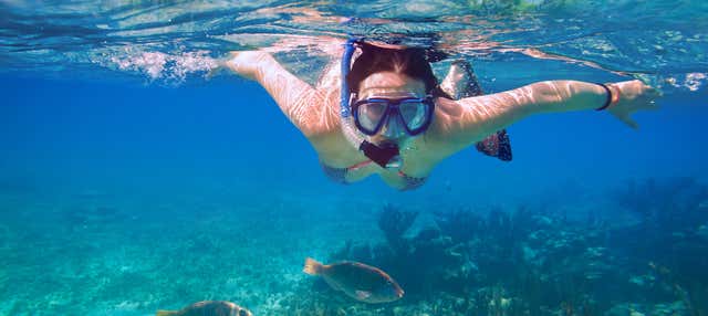 Caiaque e snorkel na baía de Biesanz