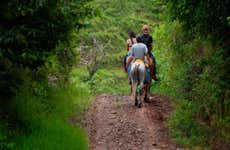 Passeio a cavalo às cataratas Tocori