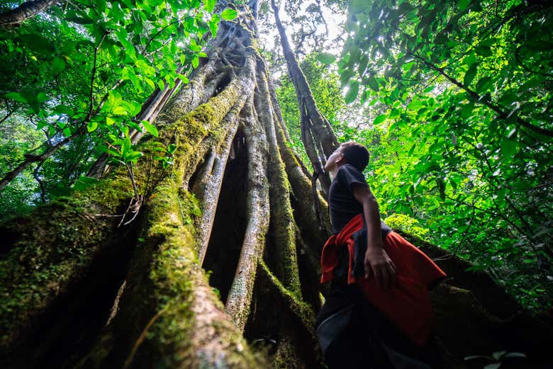 Contemplando la flora local