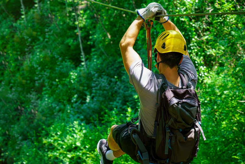 Entre los árboles en Monteverde