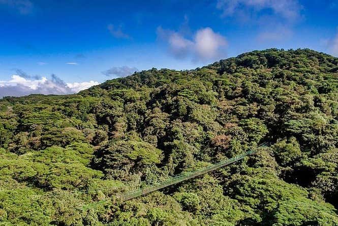 Skywalk en Monteverde
