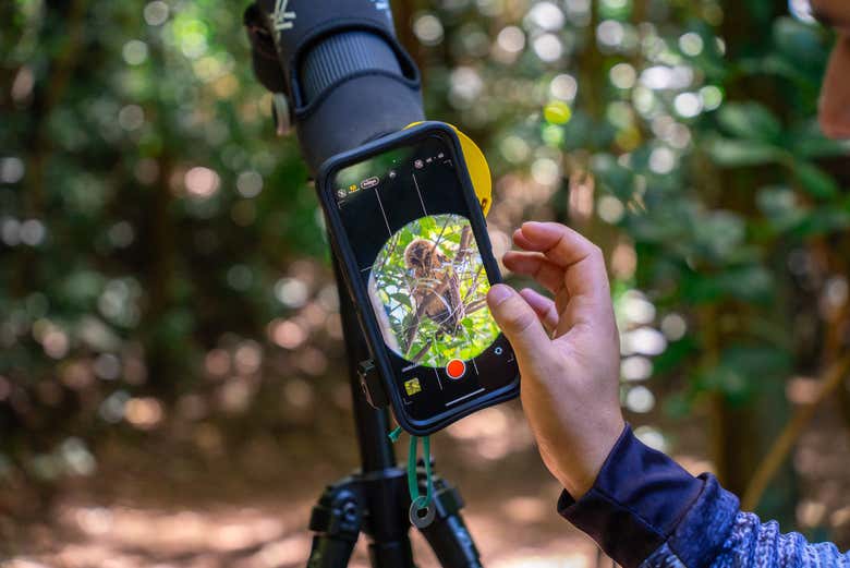Les guides sont équipés de télescopes et de jumelles