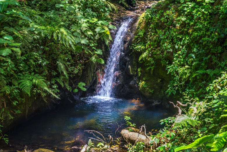 Pequeña cascada en la Reserva de Monteverde