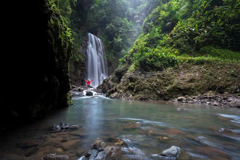 A cachoeira na floresta nublada de Monteverde
