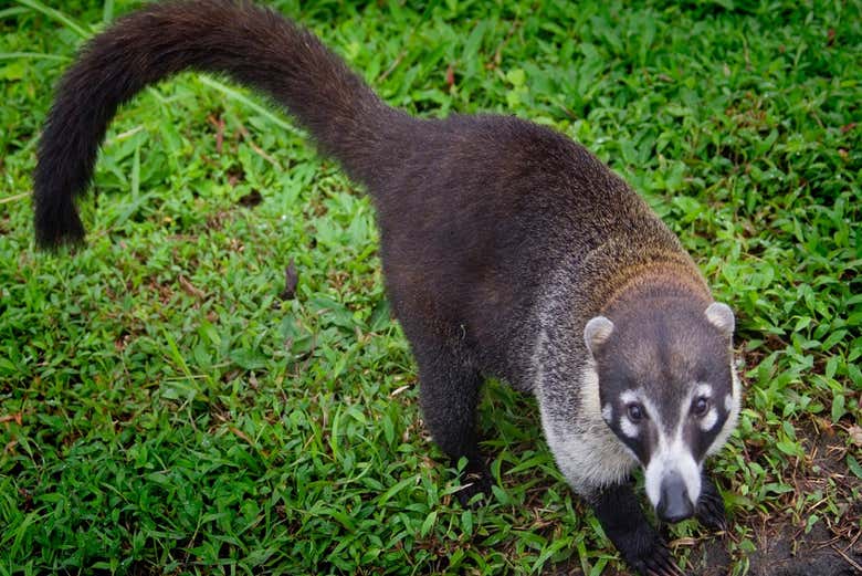 Disfrutando de la experiencia