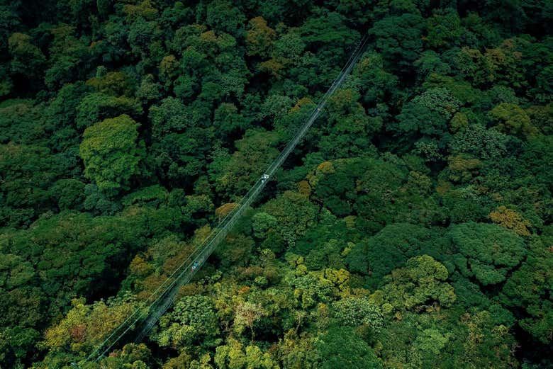 Vista de dron de un puente colgante en Selvatura Park