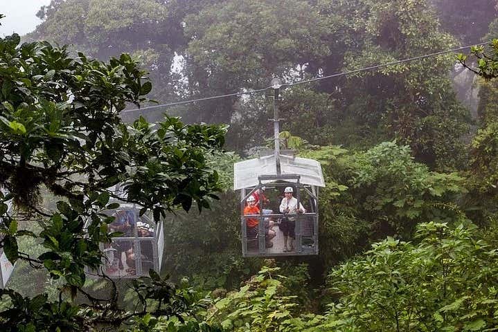 Contemplando a selva de Monteverde do Sky Tram