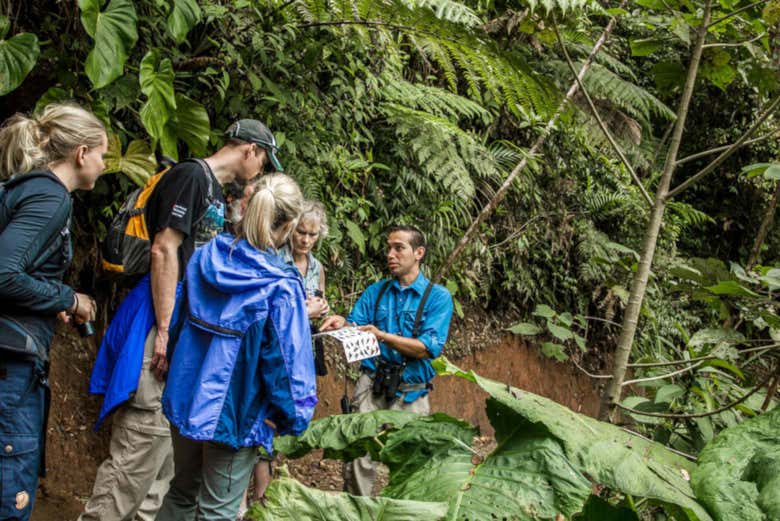 Guía en el Bosque Nuboso de Monteverde