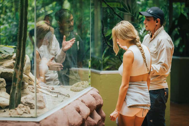 Ascoltando le spiegazioni della guida