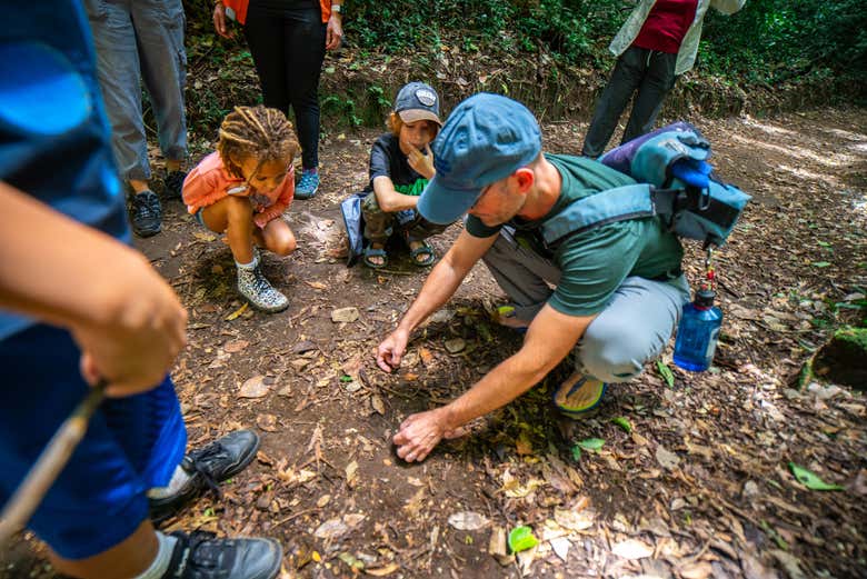 Atendiendo a las explicaciones del guía