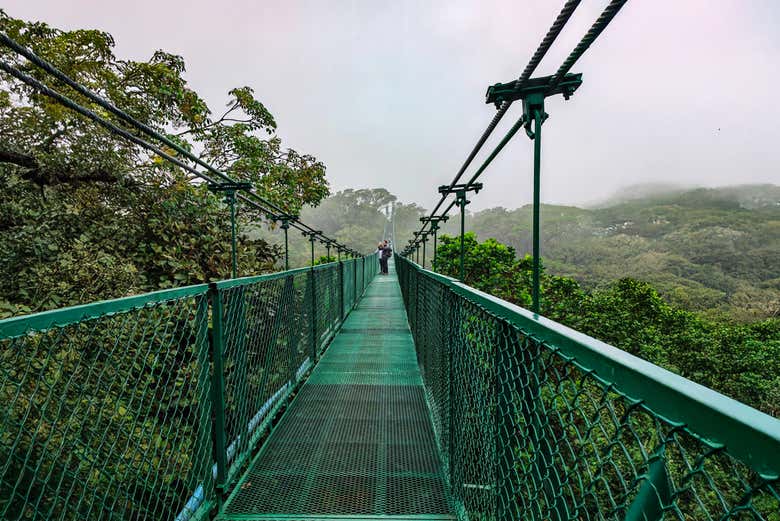 Selvatura Park ha ponti sospesi molto lunghi