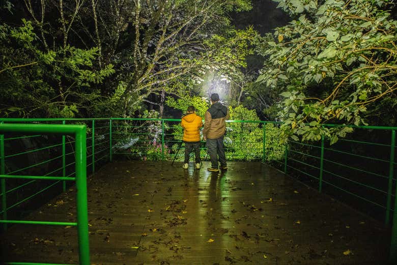 En busca de especies única en el senderismo de noche