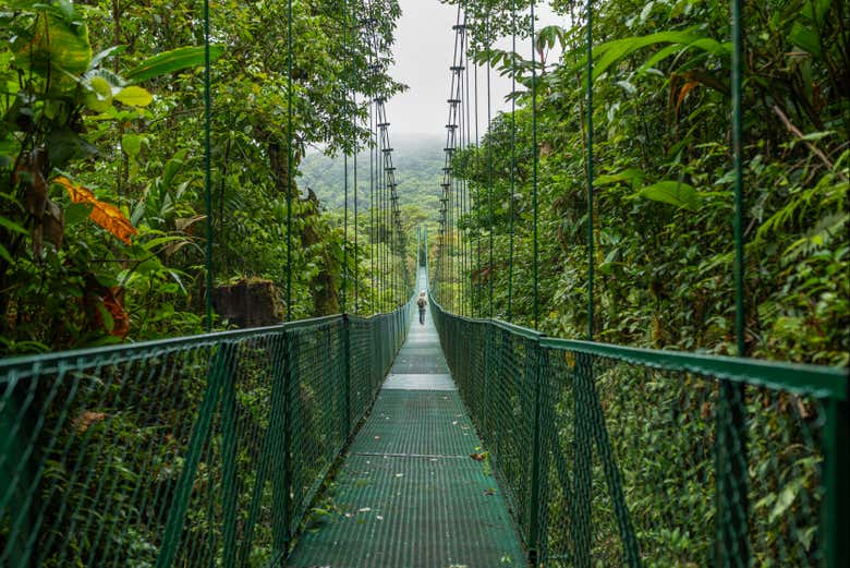 A Monteverde attraverserete otto ponti sospesi
