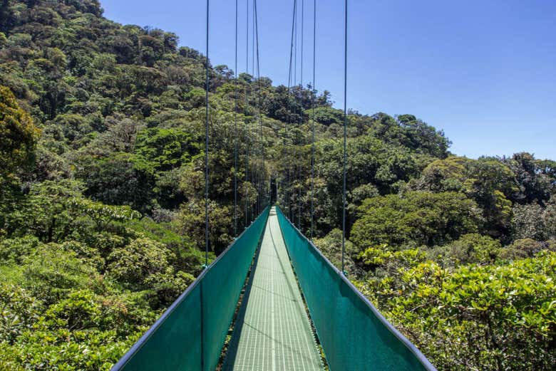 Skywalk