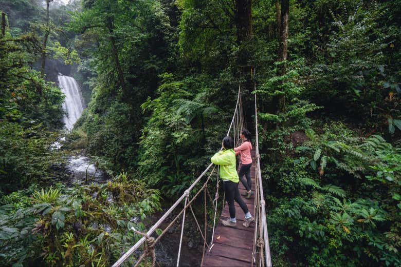 Pontes suspensas em El Tigre Waterfalls