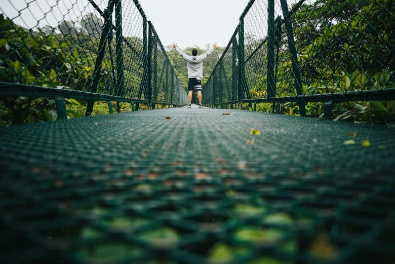 Un recorrido inolvidable en Selvatura Park