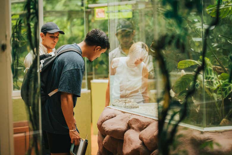 Osservando i serpenti