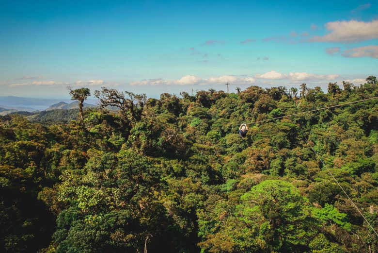 Bosques de Monteverde en tirolina