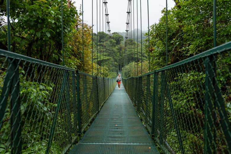 Un'esperienza unica sui ponti sospesi di Monteverde