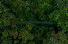 Puentes colgantes de Selvatura Park