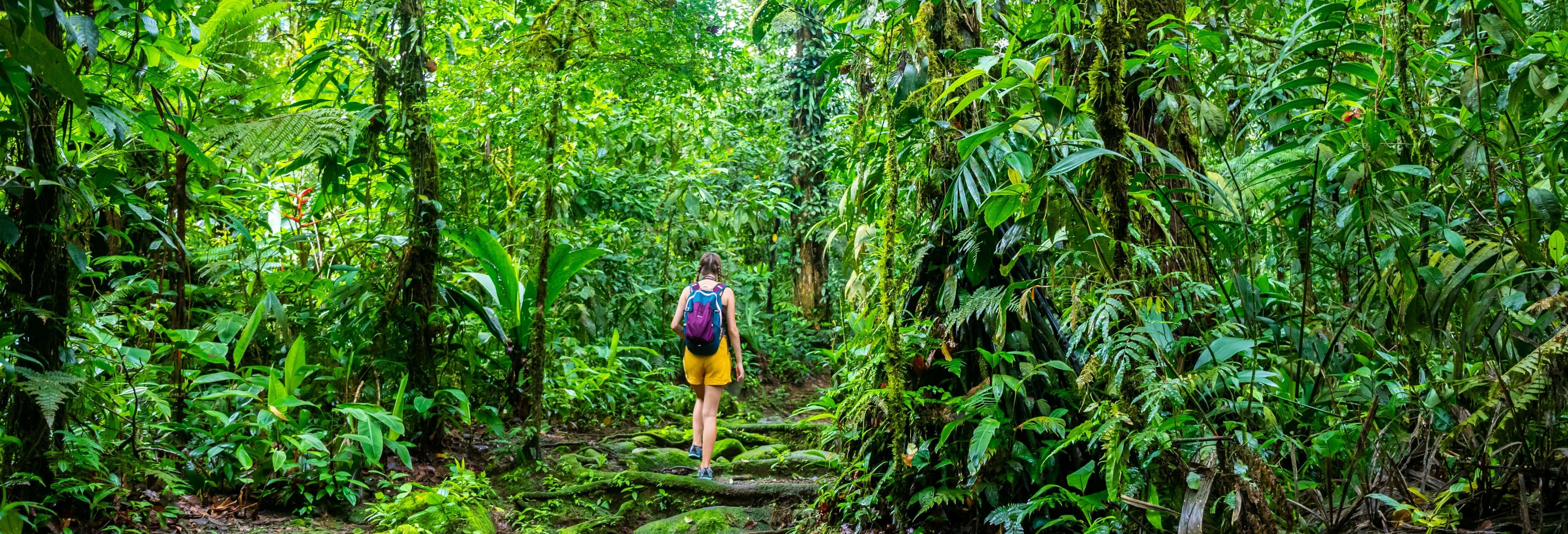 Senderismo / Trekking en Monteverde