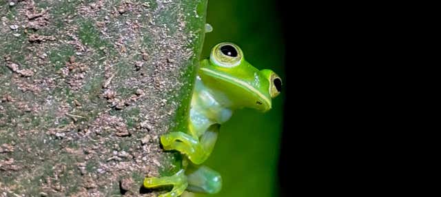 Trekking serale a Oktari Monteverde