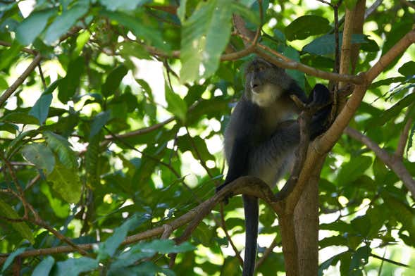 Curi Chancha Reserve Hiking