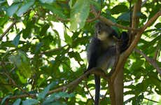 Curi Chancha Reserve Hiking