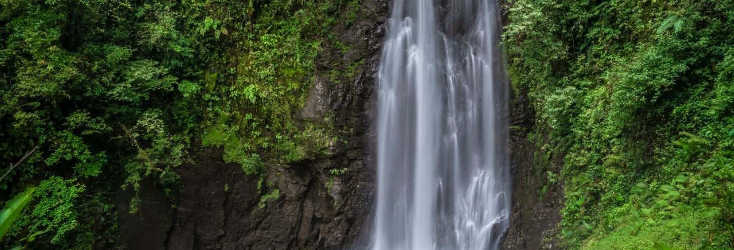 Randonnée / Trek à Monteverde