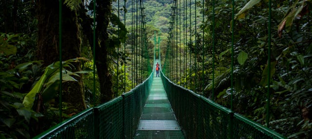 Excursão ao Selvatura Park Monteverde