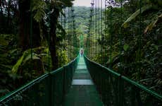 Excursão ao Selvatura Park Monteverde