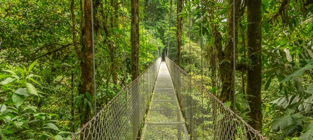 Sky Adventures Monteverde Park Day Trip