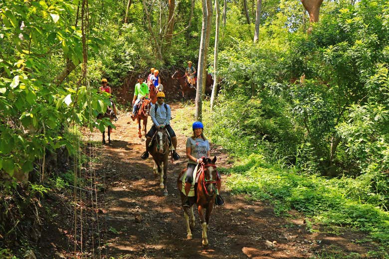 Trotando pela selva tropical