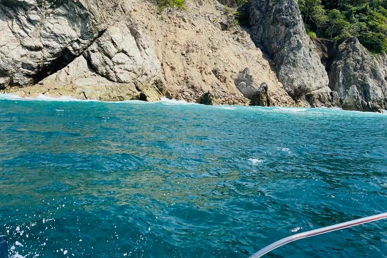 Tour de avistamento de cetáceos