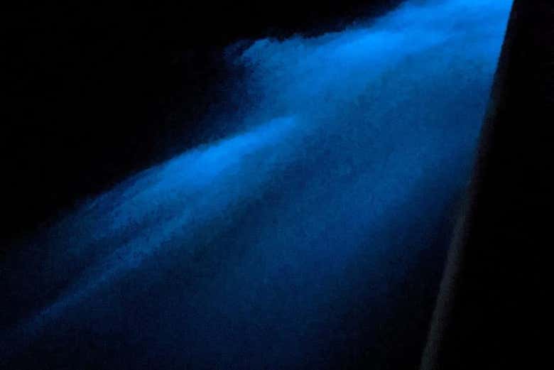 Tour do plâncton luminoso