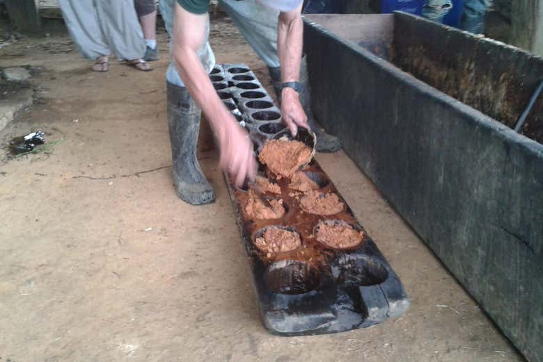 Realizando diversos productos 