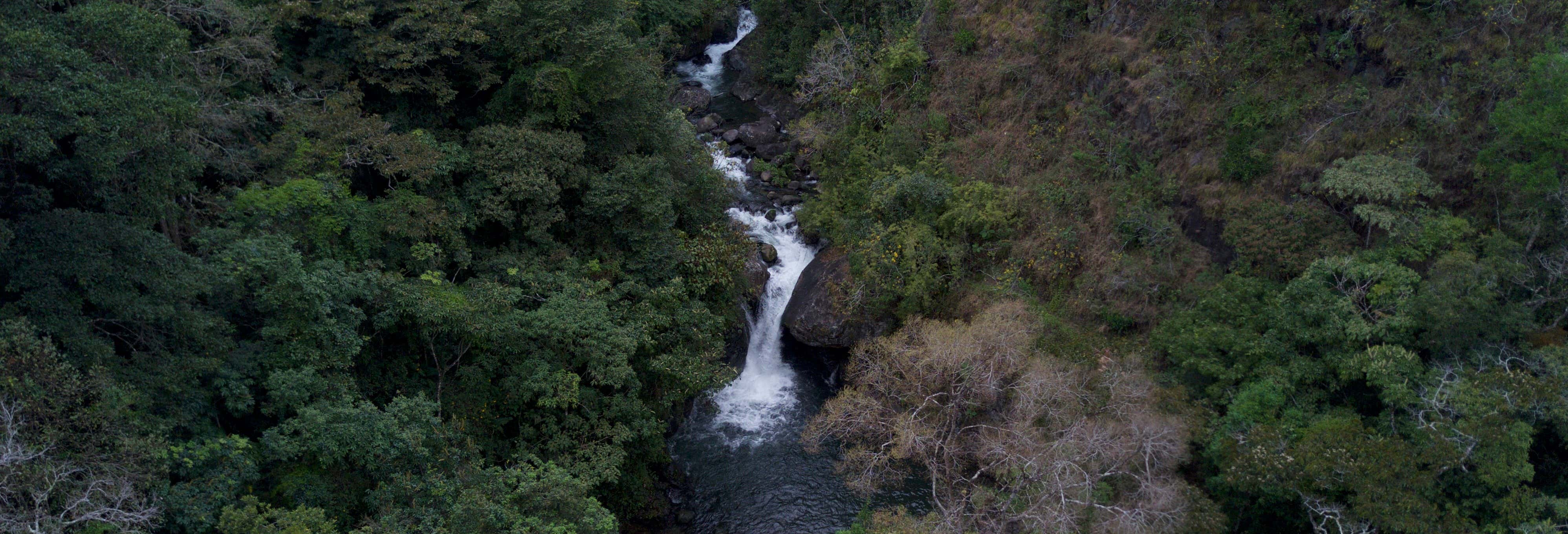 Providencia de Dota