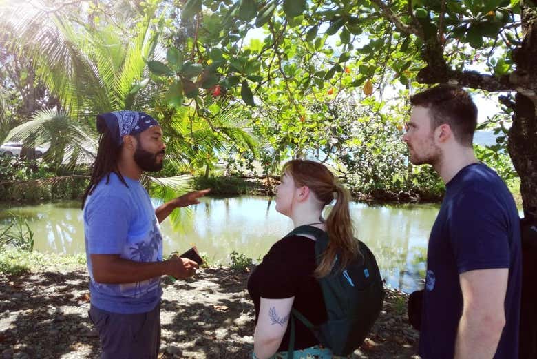 Descubriendo Puerto Viejo y su cultura gastronómica