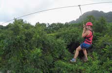 Tyrolienne et descente en rappel à Puerto Viejo de Limón