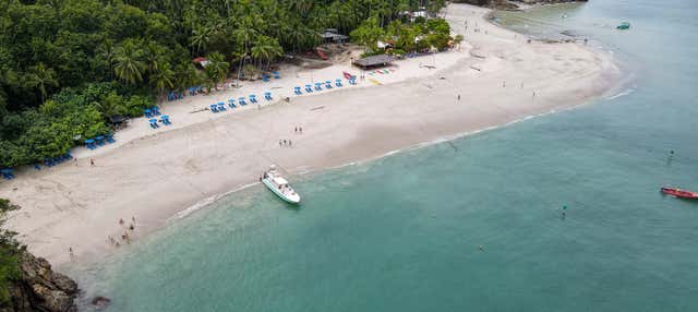 Excursión a Isla Tortuga para cruceros