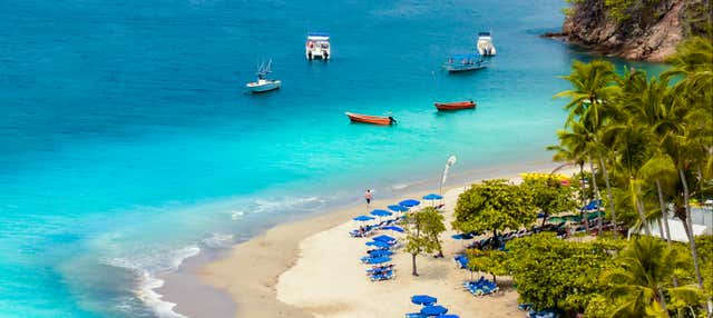 Excursión a Isla Tortuga en catamarán