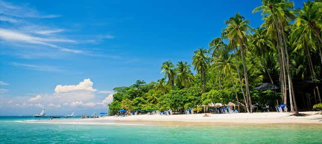 Excursión a Isla Tortuga + Snorkel
